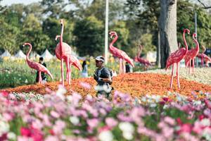 BIB: 
                            <button type="button" onclick="openModal(27344314)" class="btn btn-primary btn-sm float-right btn-popup" data-toggle="modal" data-target=".modal-high-quality">
                        <i class="fas fa-shopping-cart"></i> Add to Cart
                    </button>
                                            <button type="button" onclick="isThisMe(27344314, true)" class="btn btn-success btn-sm float-right btn-popup btn-isme hidden" data-toggle="tooltip" data-placement="bottom" title="นี่คือรูปของคุณใช่ไหม คลิกที่นี่เพื่อเอาเข้าอัลบั้ม">
                        <i class="fas fa-plus"></i> Add to album
                    </button>
                    <button type="button" onclick="isThisMe(27344314, false)" class="btn btn-warning btn-sm float-right btn-popup btn-isnotme hidden">
                        <i class="fas fa-ban"></i> Remove from album
                    </button>